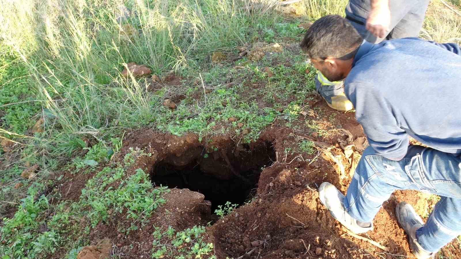 Seslerini küçük çocuk duydu, çalındı sanılan 2 koyun düştükleri 5 metrelik kuyudan kurtarıldı 8 seslerini kucuk cocuk duydu calindi sanilan 2 koyun dustukleri 5 metrelik kuyudan kurtarildi 4