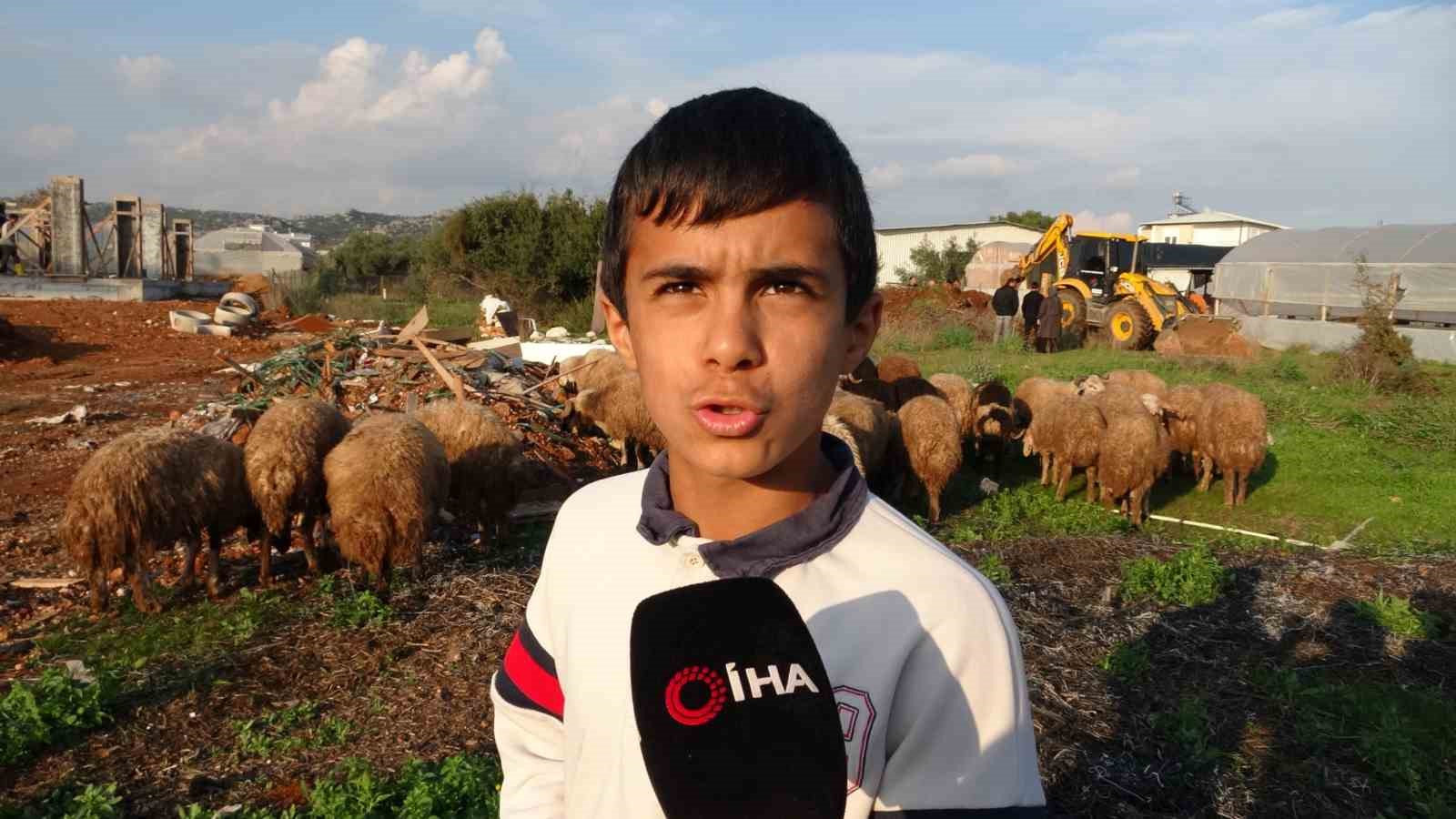 Seslerini küçük çocuk duydu, çalındı sanılan 2 koyun düştükleri 5 metrelik kuyudan kurtarıldı 9 seslerini kucuk cocuk duydu calindi sanilan 2 koyun dustukleri 5 metrelik kuyudan kurtarildi 5 n4UbWu2y
