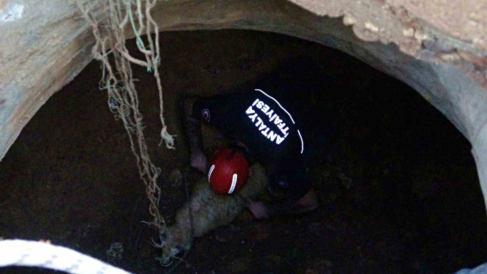 Seslerini küçük çocuk duydu, çalındı sanılan 2 koyun düştükleri 5 metrelik kuyudan kurtarıldı 11 seslerini kucuk cocuk duydu calindi sanilan 2 koyun dustukleri 5 metrelik kuyudan kurtarildi 7 CD2ntkyR