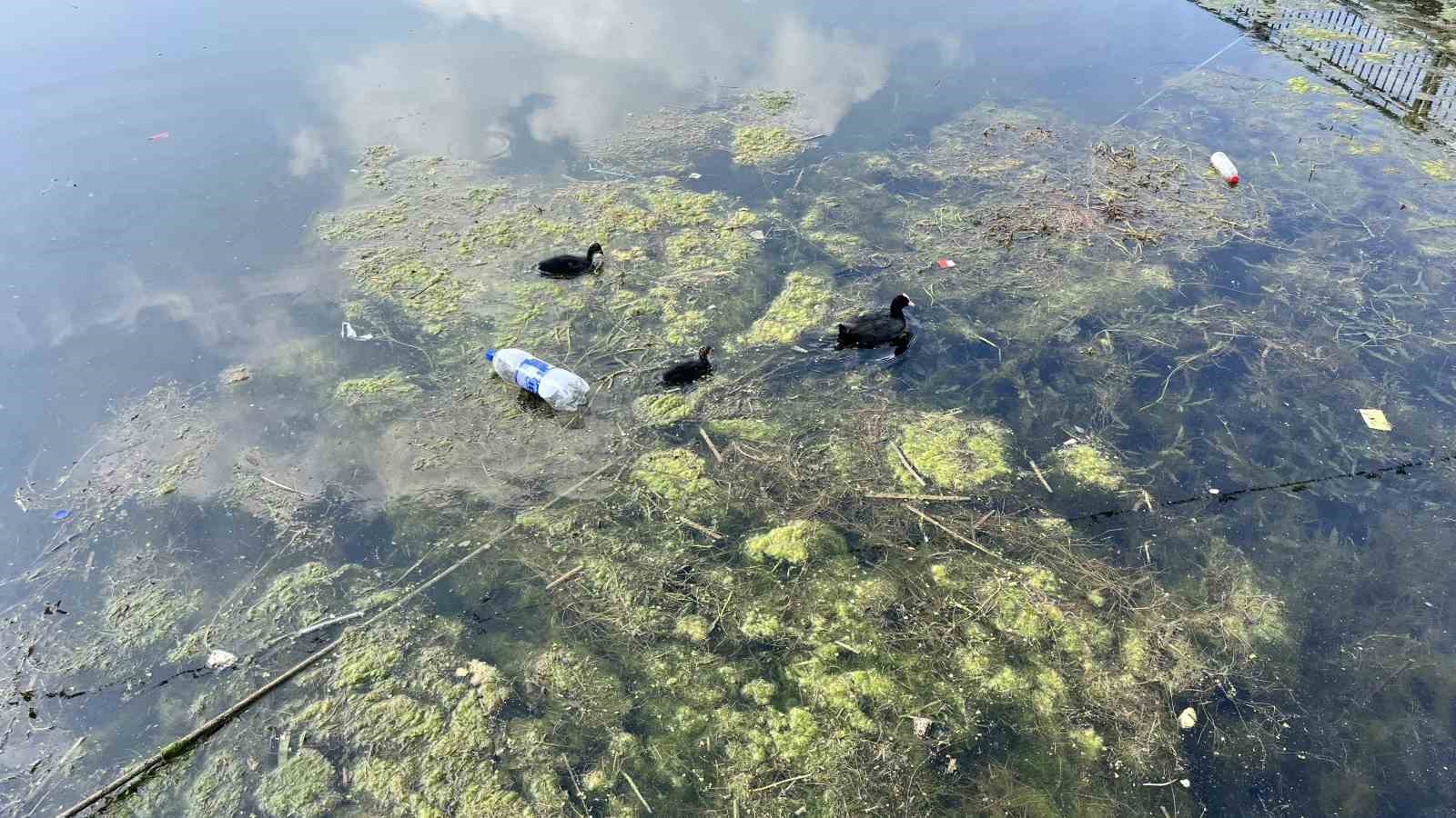Seyhan Nehri kirliliğe teslim oldu, gönüllü genç sandalla temizliğe çıktı 4 seyhan nehri kirlilige teslim oldu gonullu genc sandalla temizlige cikti 0 pCy5fdTd