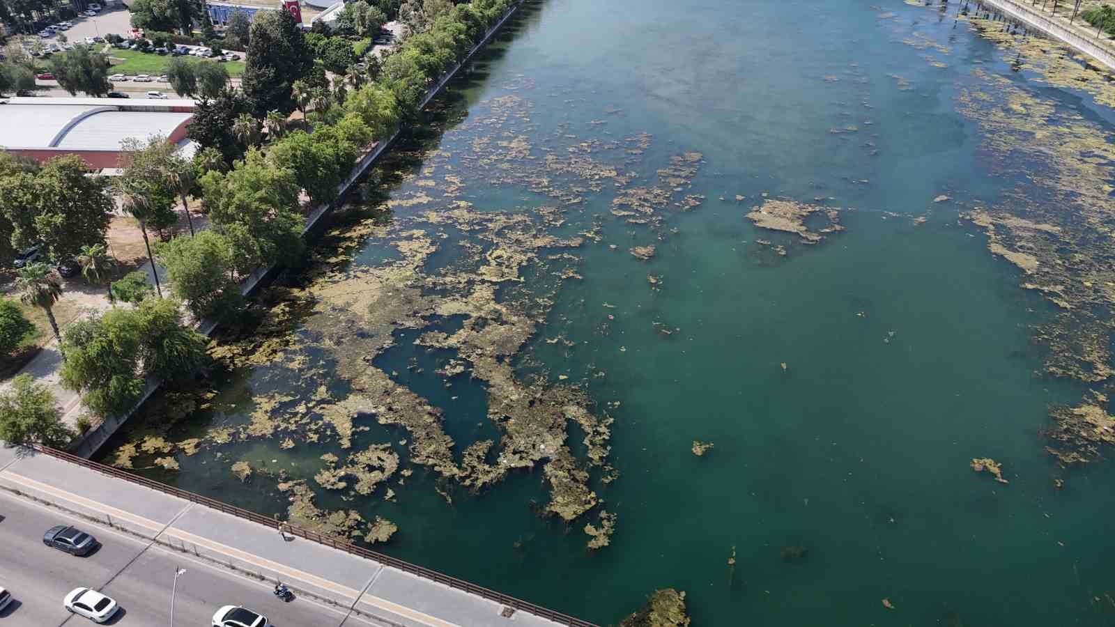 Seyhan Nehri kirliliğe teslim oldu, gönüllü genç sandalla temizliğe çıktı 9 seyhan nehri kirlilige teslim oldu gonullu genc sandalla temizlige cikti 5 OTLRPvsM