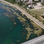 seyhan-nehri-kirlilige-teslim-oldu-gonullu-genc-sandalla-temizlige-cikti-5tmwsOGj.jpg