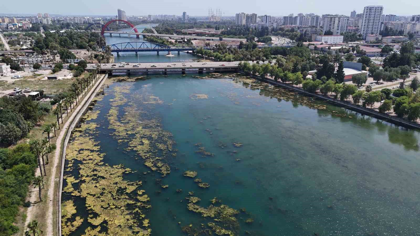 Seyhan Nehri kirliliğe teslim oldu, gönüllü genç sandalla temizliğe çıktı 10 seyhan nehri kirlilige teslim oldu gonullu genc sandalla temizlige cikti 6 Ea8dlNK8