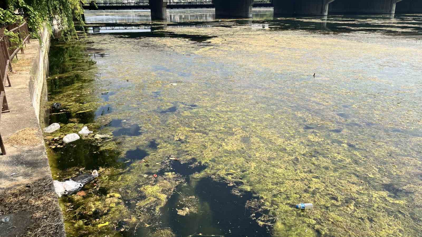 Seyhan Nehri kirliliğe teslim oldu, gönüllü genç sandalla temizliğe çıktı 12 seyhan nehri kirlilige teslim oldu gonullu genc sandalla temizlige cikti 8 XZv7PZZP