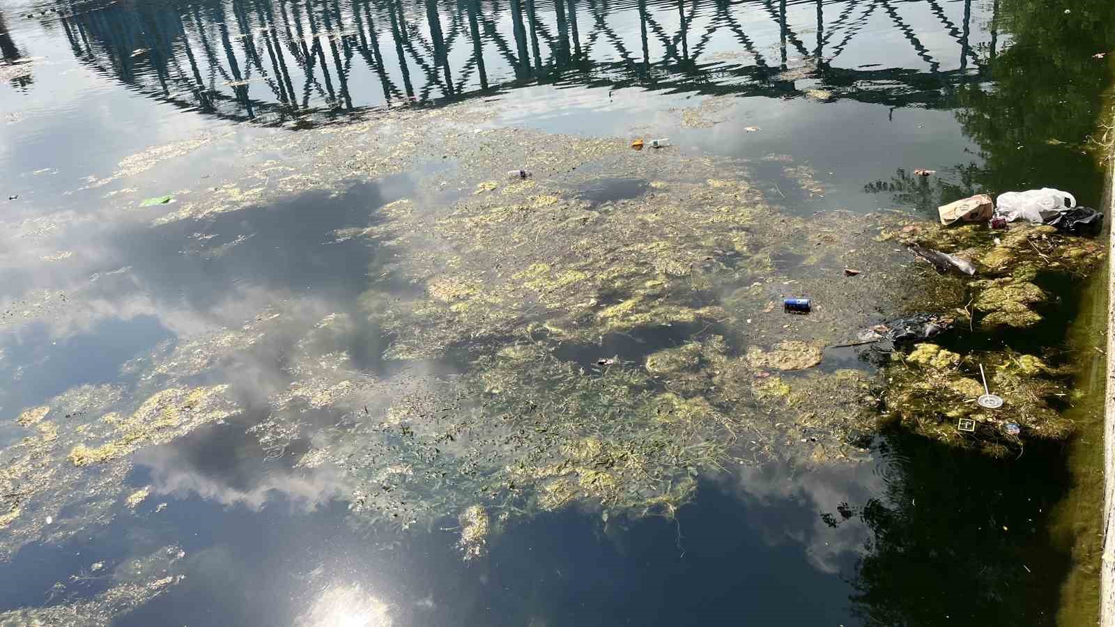 Seyhan Nehri kirliliğe teslim oldu, gönüllü genç sandalla temizliğe çıktı 13 seyhan nehri kirlilige teslim oldu gonullu genc sandalla temizlige cikti 9