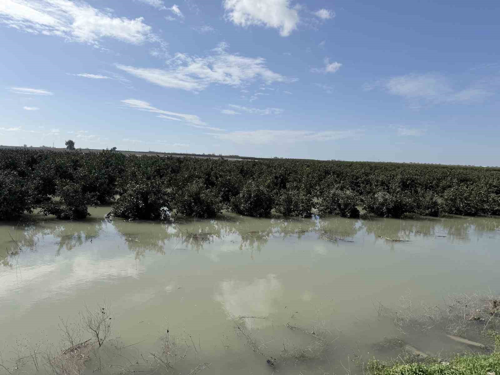 seyhan nehri tasti tarsusta tarim arazileri sular altinda kaldi 1