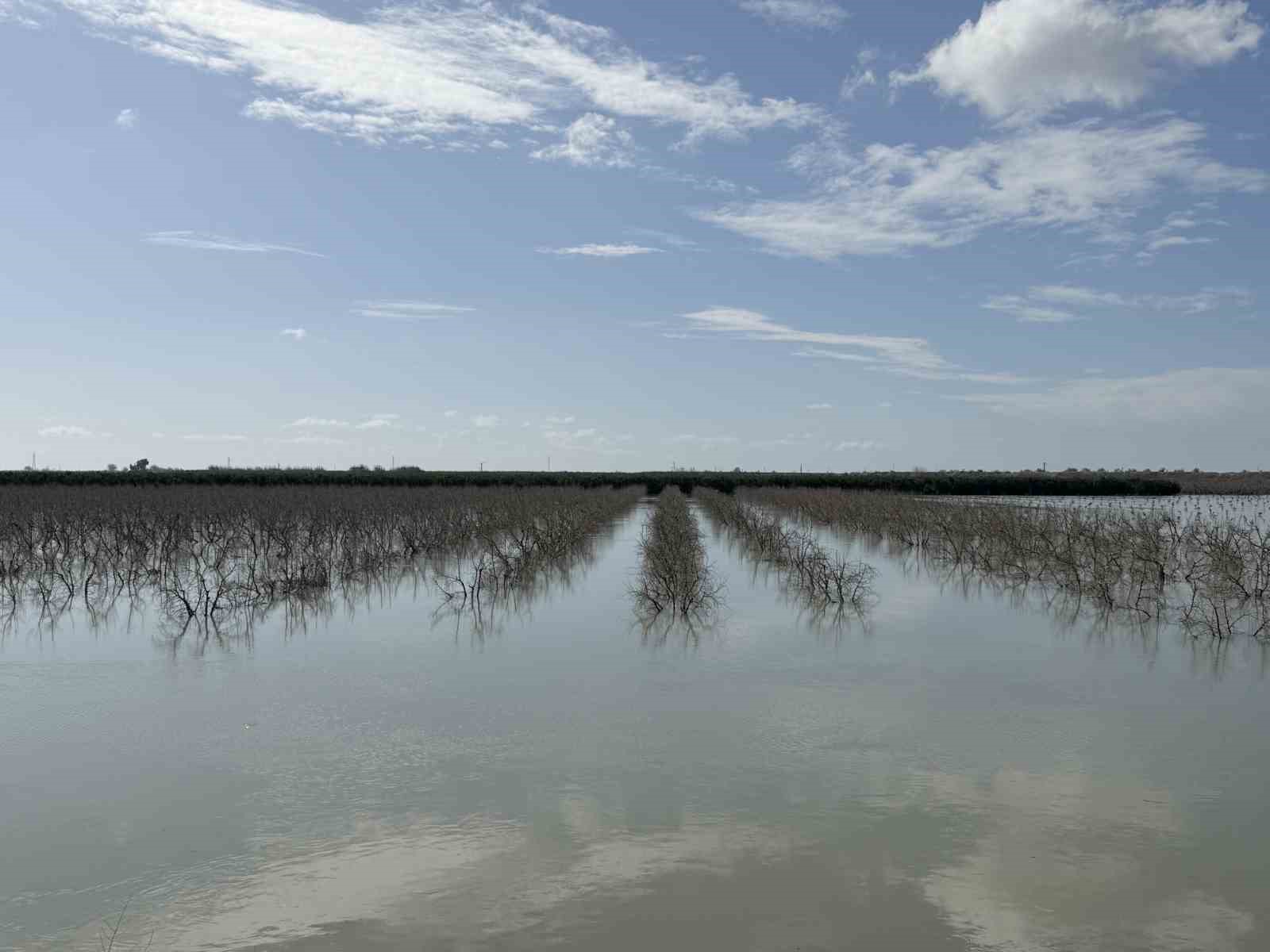 seyhan nehri tasti tarsusta tarim arazileri sular altinda kaldi 2 wRuyK2cQ