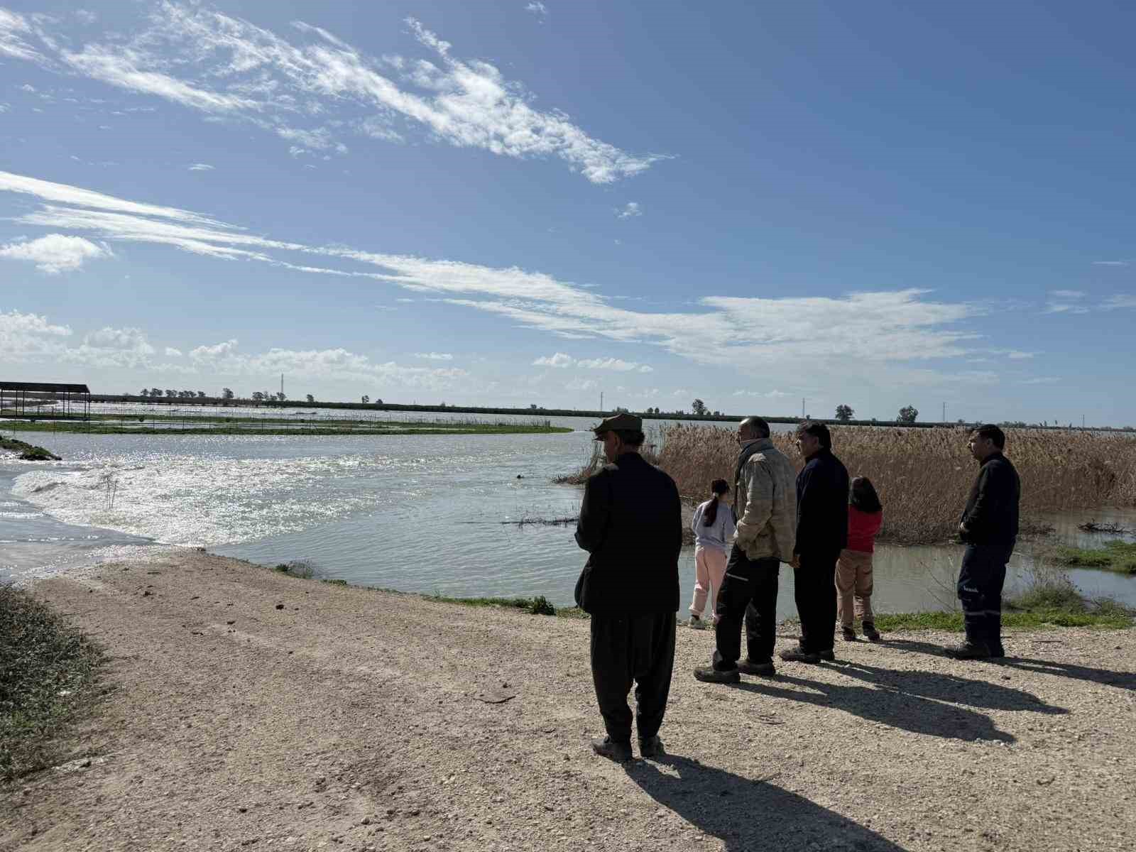 seyhan nehri tasti tarsusta tarim arazileri sular altinda kaldi 4 Pz3NHf1h