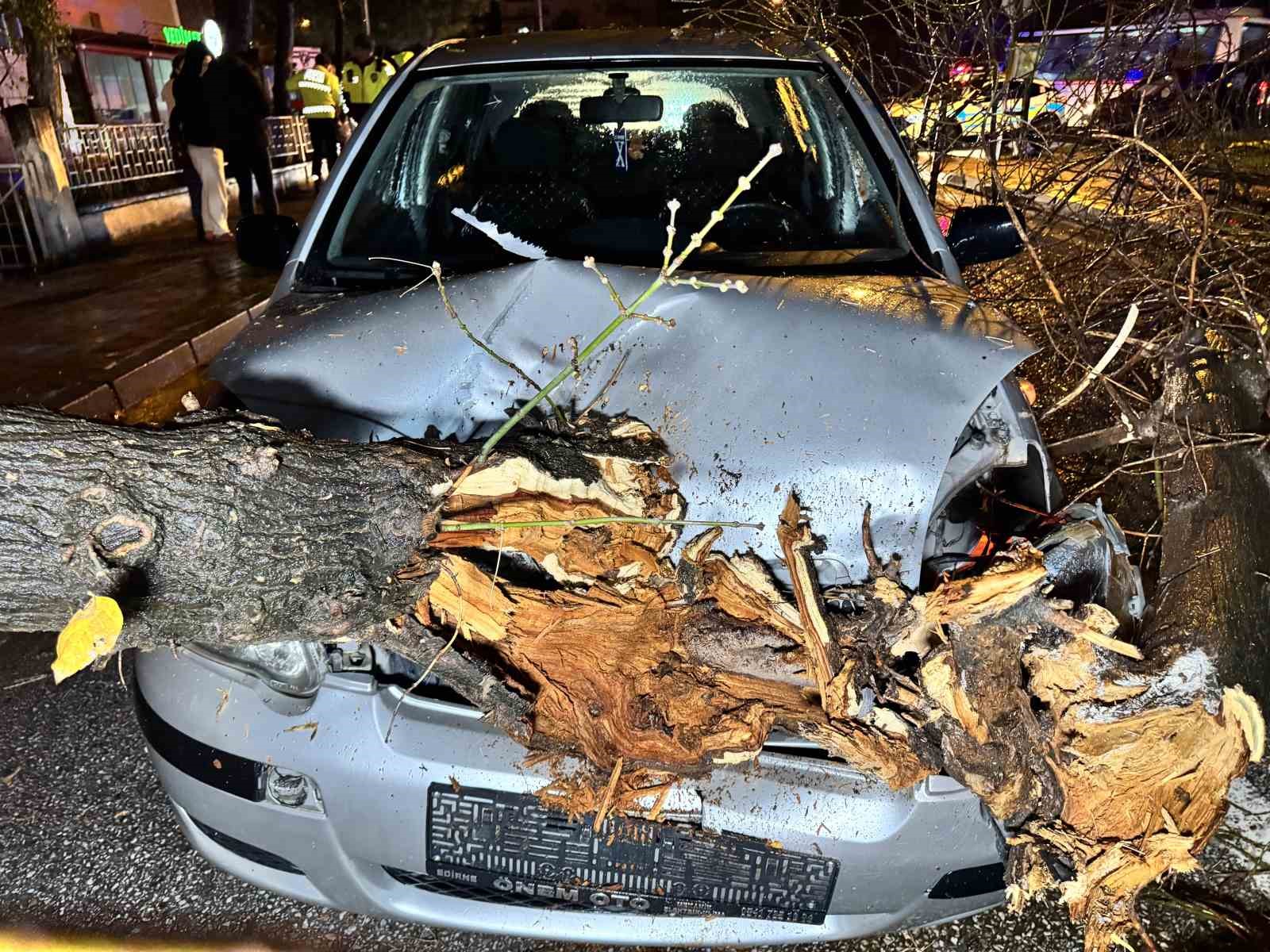 seyir halindeki otomobilin uzerine agac devrildi 0 Zs9tOkOK