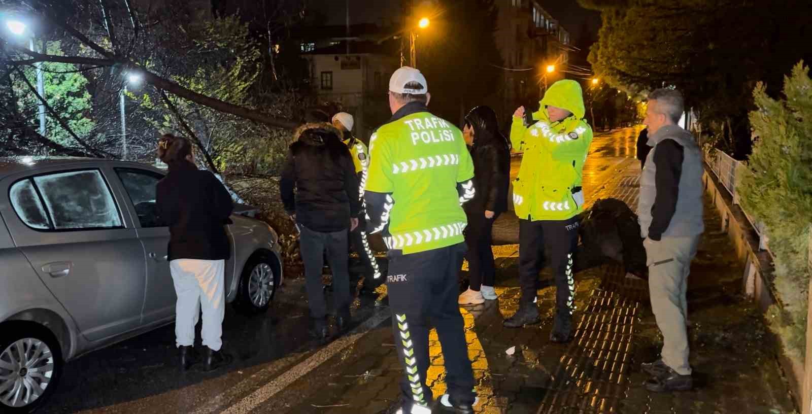 seyir halindeki otomobilin uzerine agac devrildi 3 SnhEfmfw