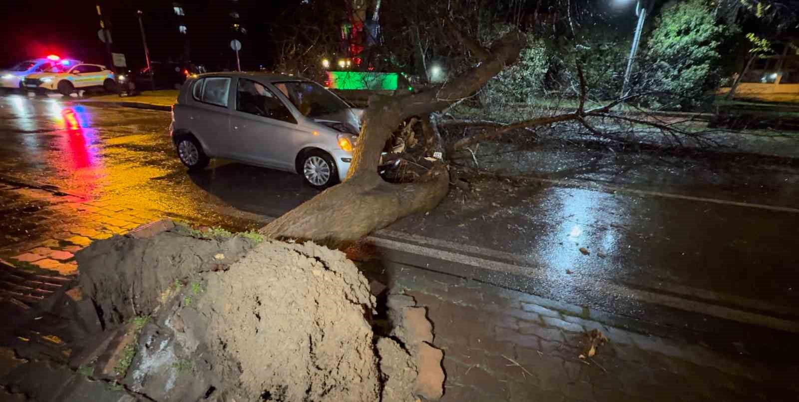 seyir halindeki otomobilin uzerine agac devrildi 6 ZJCQBILU