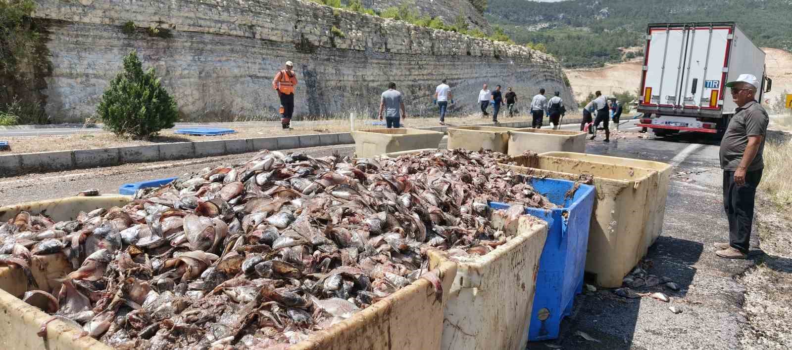 Seyir halindeki tırın dorsesi patladı, 15 ton balık atığı yola saçıldı 4 seyir halindeki tirin dorsesi patladi 15 ton balik atigi yola sacildi 0 bAUtGDGm