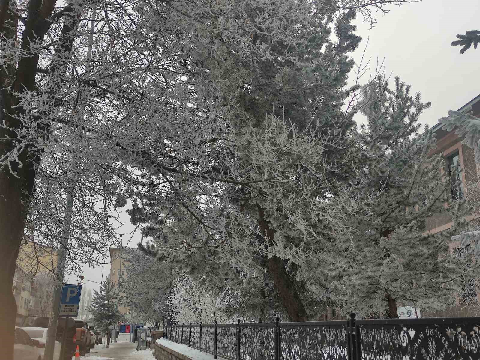 sibirya soguklari hayati olumsuz etkiliyor 6 IR4JqWQt