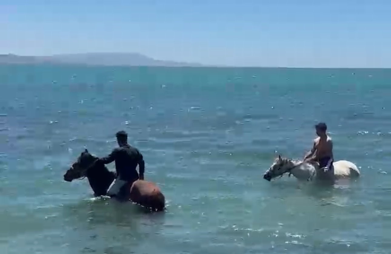Sıcaktan bunalan gençler atlarıyla Van Gölü’nde serinledi 7 sicaktan bunalan gencler atlariyla van golunde serinledi 3 DS1HP4VJ