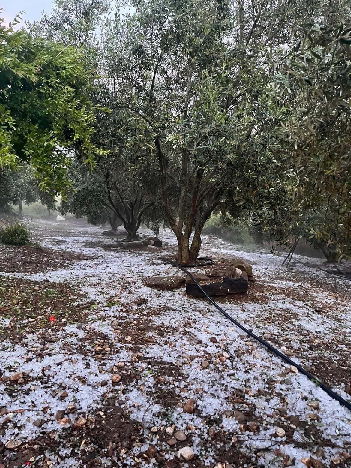 siddetli doluyu hem kaydetti hem dua etti 3 8tAXHZZg