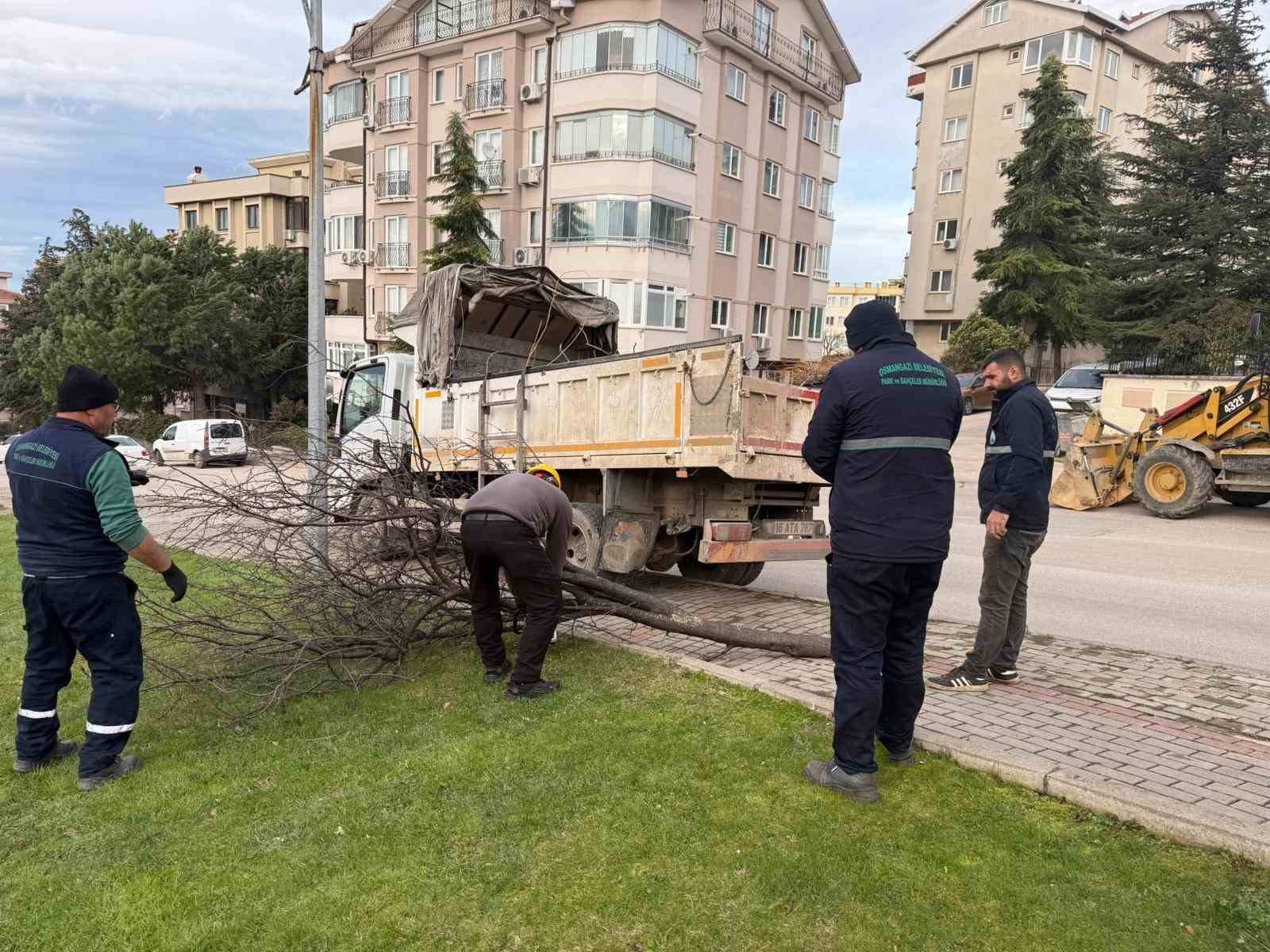 siddetli lodosun devirdigi agaclara aninda mudahale 1 FE3QtcRP