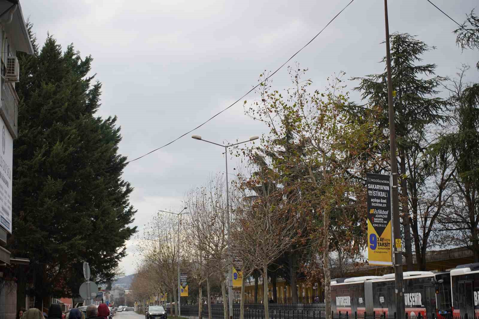 siddetli ruzgar hayati olumsuz etkiledi bazi agaclar devrildi 1 jn2B6DQ2