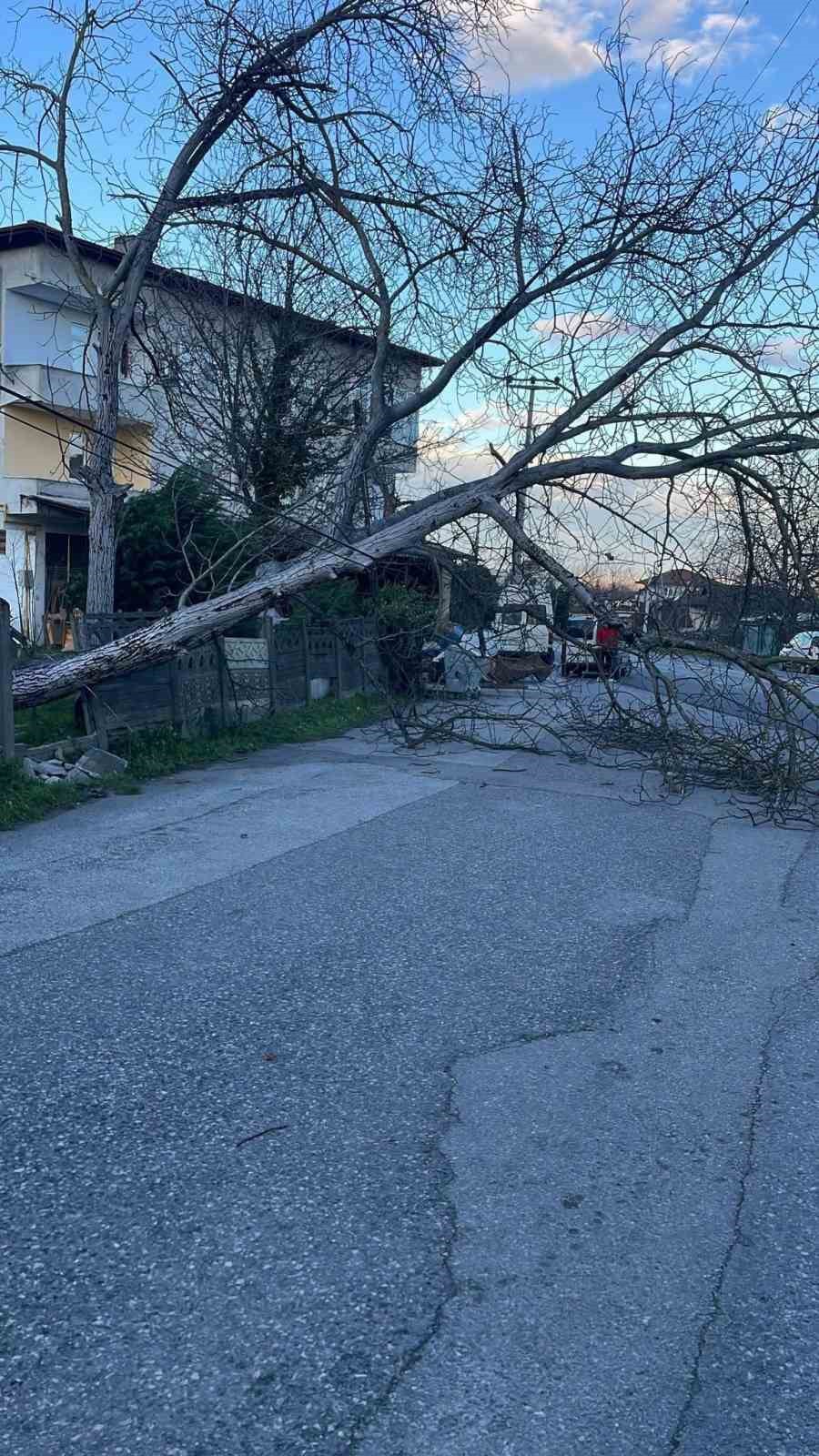 siddetli ruzgar hayati olumsuz etkiledi bazi agaclar devrildi 3 RKCeMEOf