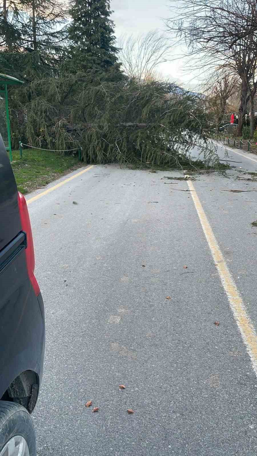 siddetli ruzgar hayati olumsuz etkiledi bazi agaclar devrildi 4 ejBh6W3k