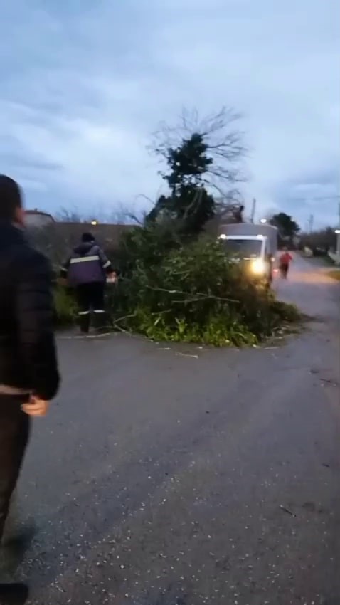 Şiddetli rüzgar ortalığı savaş alanına çevirdi: Yıkılan ağaçlar ve baraka yolu kapattı 5 siddetli ruzgar ortaligi savas alanina cevirdi yikilan agaclar ve baraka yolu kapatti 1 9O9Pjsgl