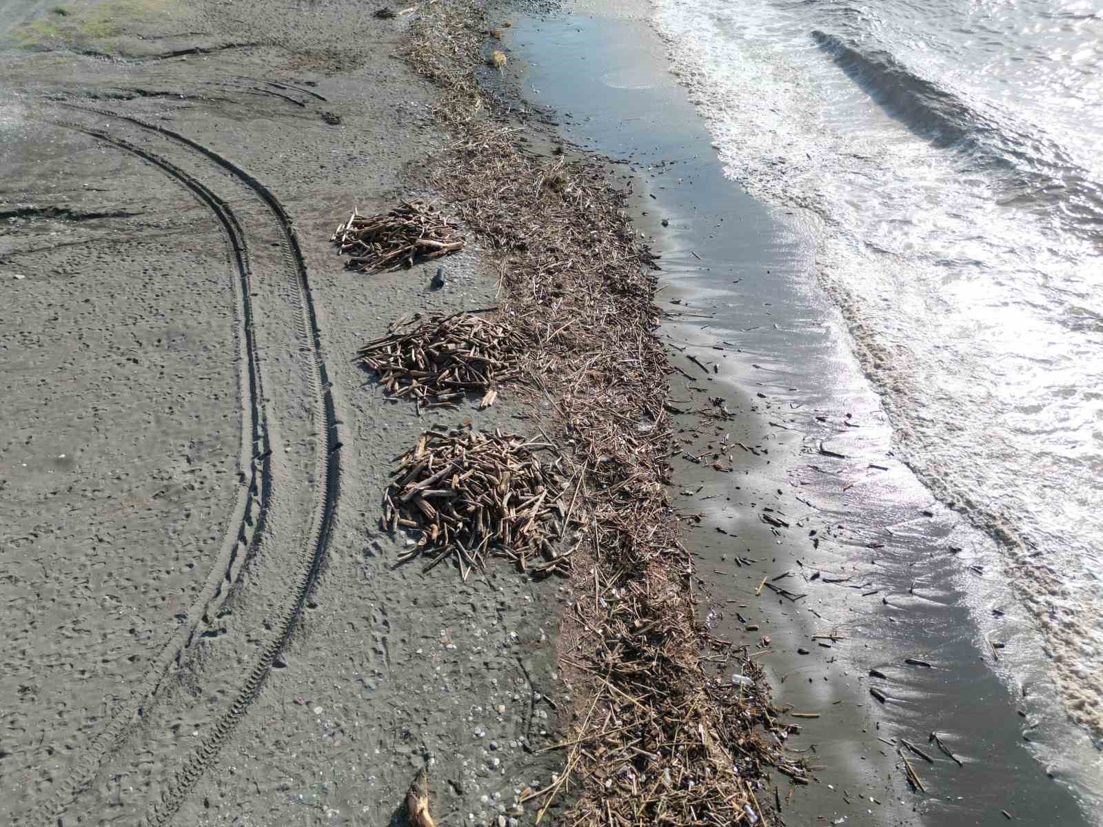 siddetli yagisla kahverengiye donen akdenizde kiyi kutuklerle kaplandi 4 QpMBuj8U
