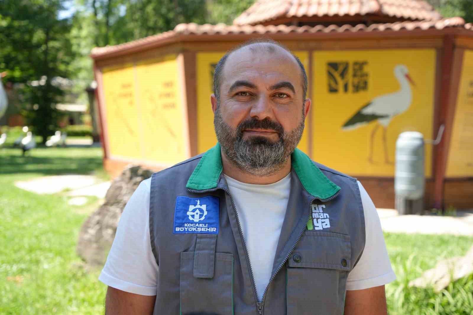 Şifa buldukları merkezde yuva kuran leyleklerin yavrusu 18 günlük oldu 10 sifa bulduklari merkezde yuva kuran leyleklerin yavrusu 18 gunluk oldu 6 91dMIU4Y