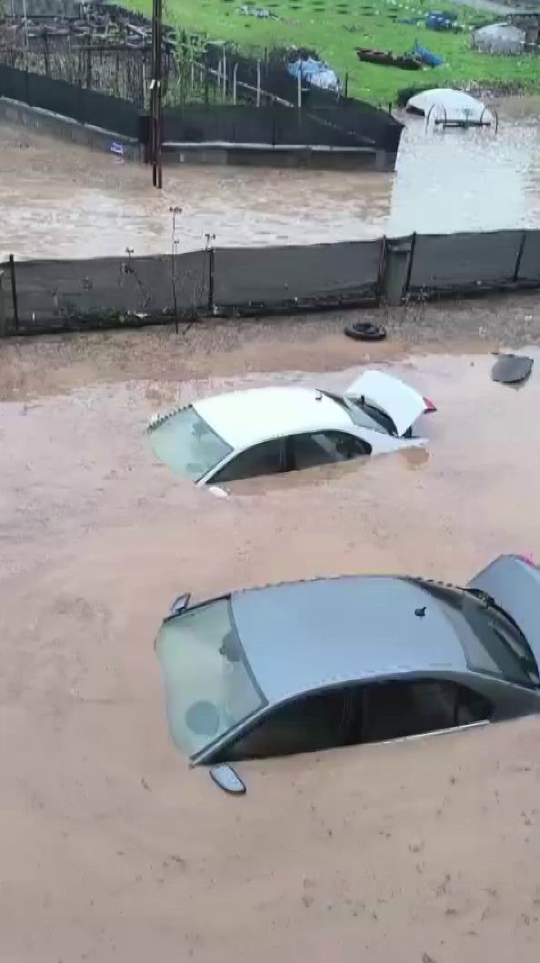siirtte araclar sel sularinda kayboldu onlarca hayvan telef oldu 1 lGAPadN3
