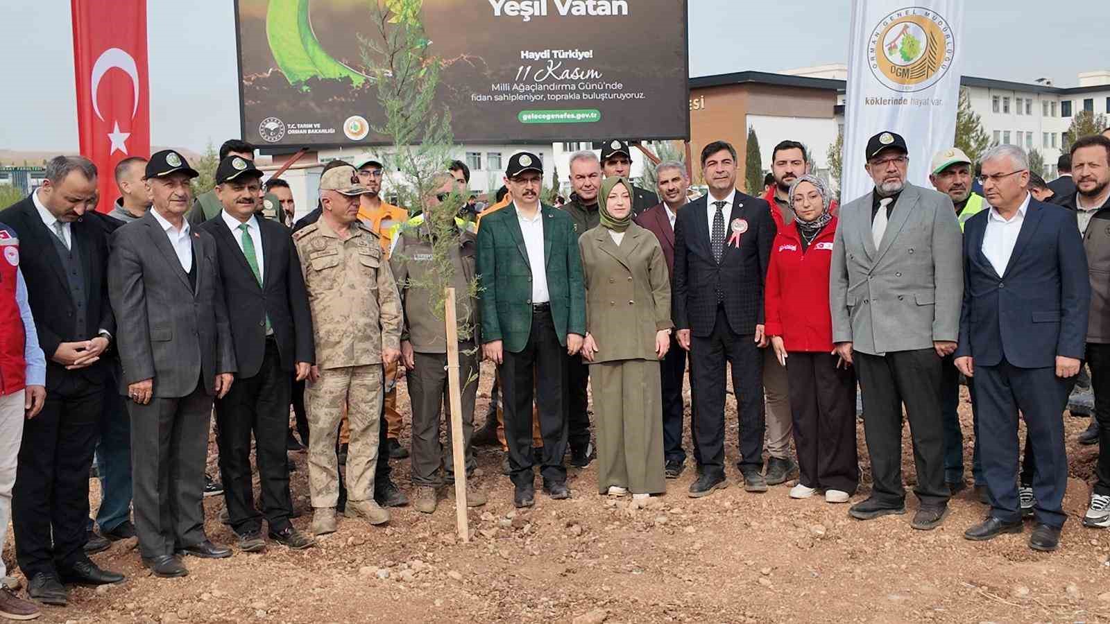 siirtte binlerce fidan ayni anda toprakla bulustu 3 7stNtt5H