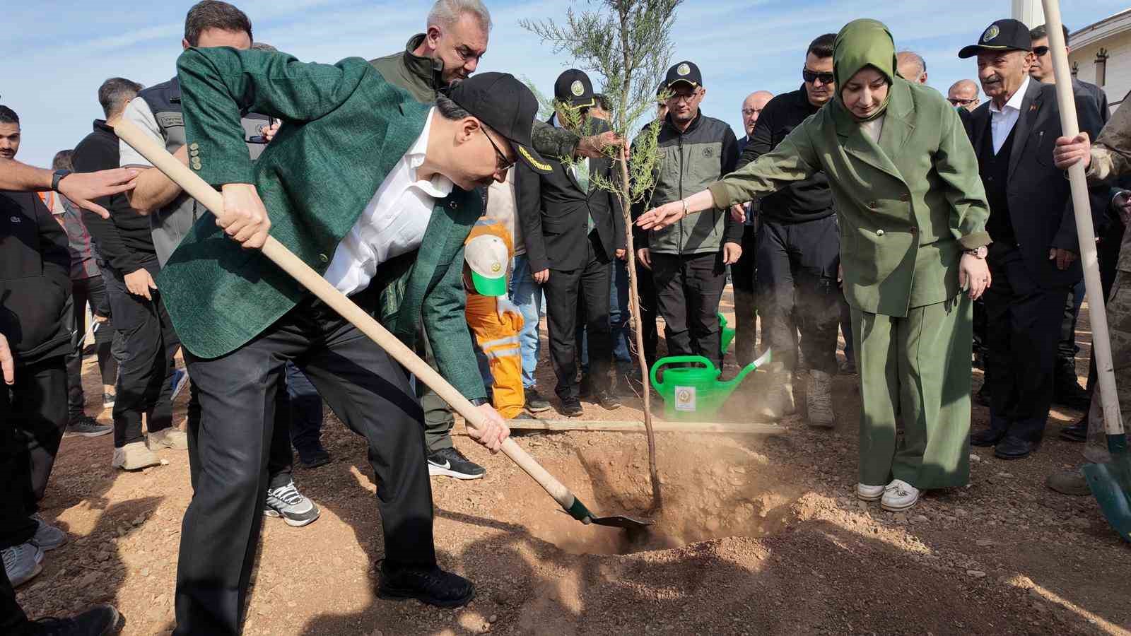 siirtte binlerce fidan ayni anda toprakla bulustu 7 QqMvqCPM