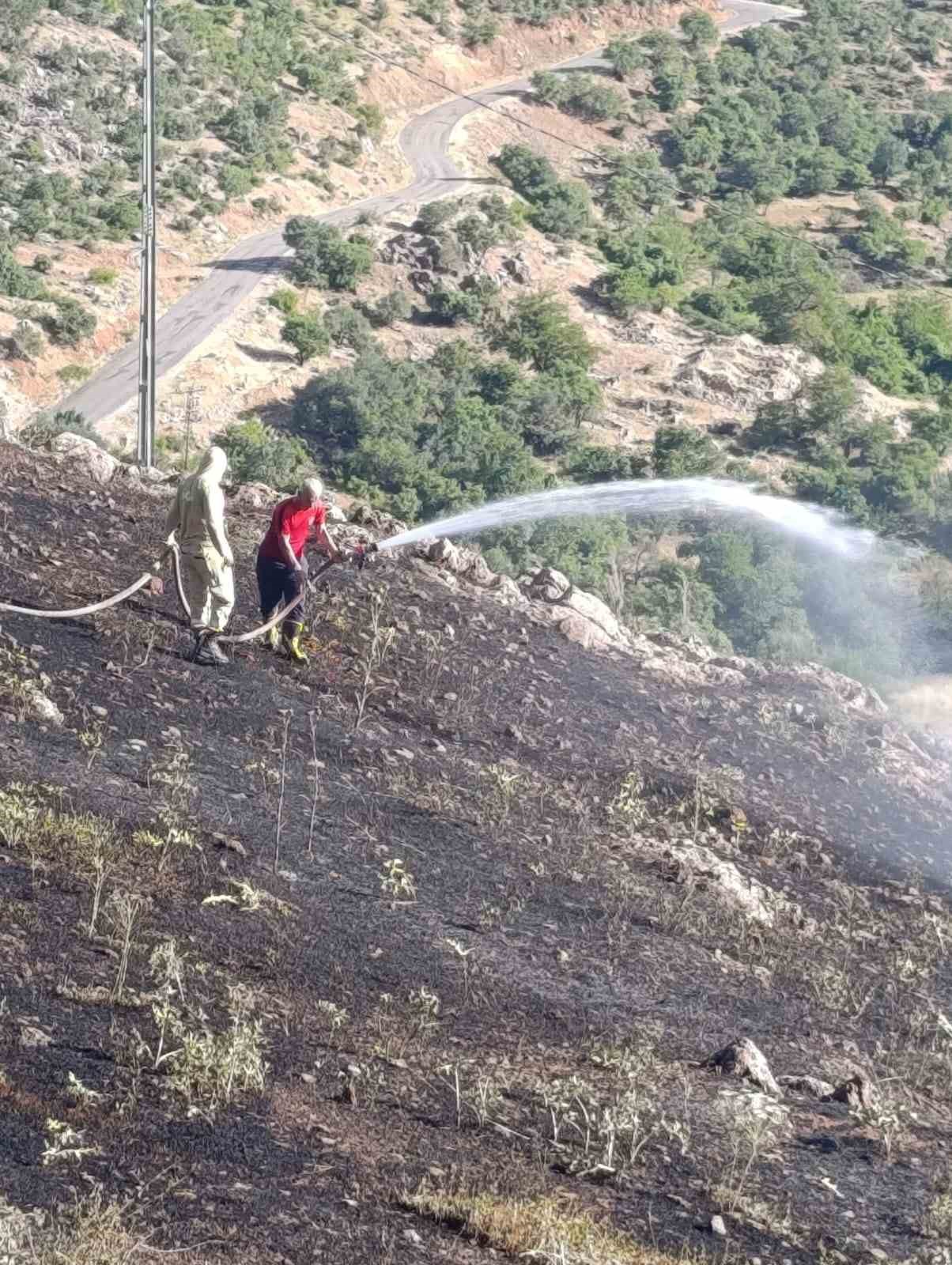 siirtte cikan yangin ekiplerin mudahalesiyle sonduruldu 3 TZ8GqG3I
