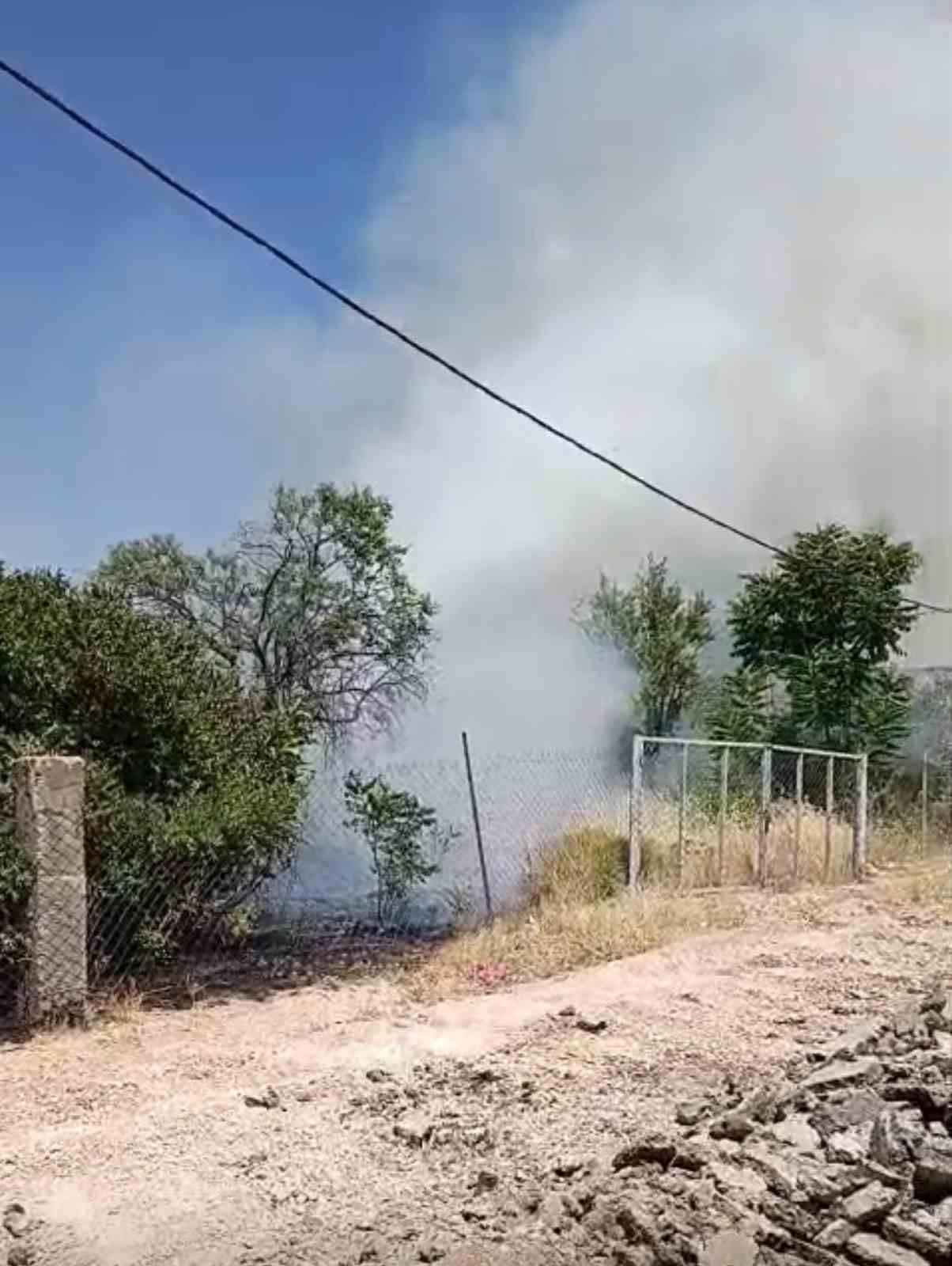 Siirt’te evin bahçesinde çıkan yangında meyve ağaçları kül oldu 4 siirtte evin bahcesinde cikan yanginda meyve agaclari kul oldu 0 GIJEJ4E7