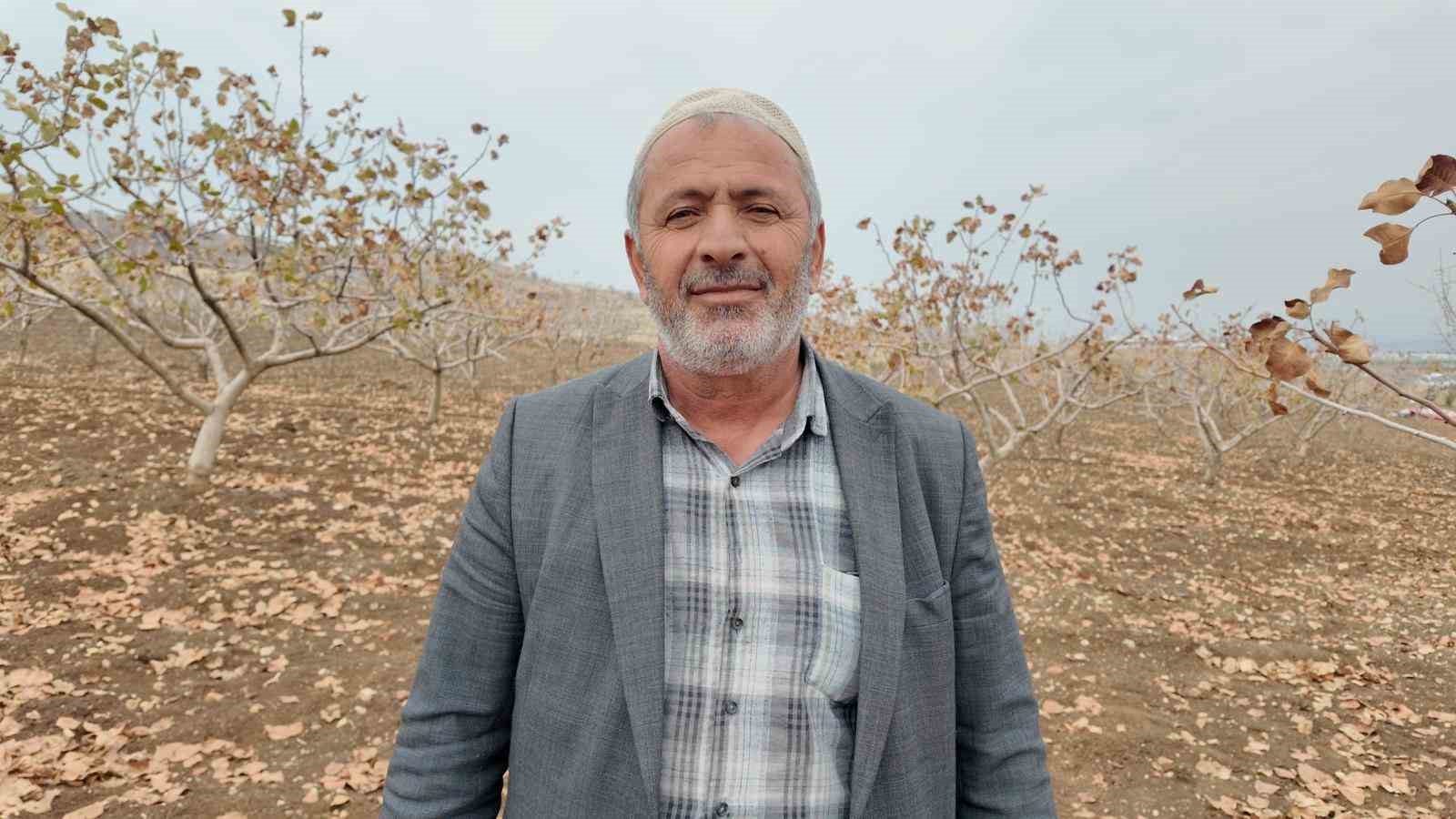 siirtte fistik ureticilerine teorik ve pratik budama ile gubreleme egitimi 4 lrOOa1vz