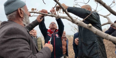 siirtte-fistik-ureticilerine-teorik-ve-pratik-budama-ile-gubreleme-egitimi-4snAz2B8.jpg