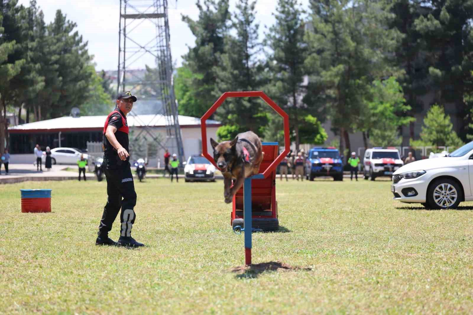 siirtte jandarma teskilatinin 187nci kurulus yil donumu kutlandi 5 dzwybs1O