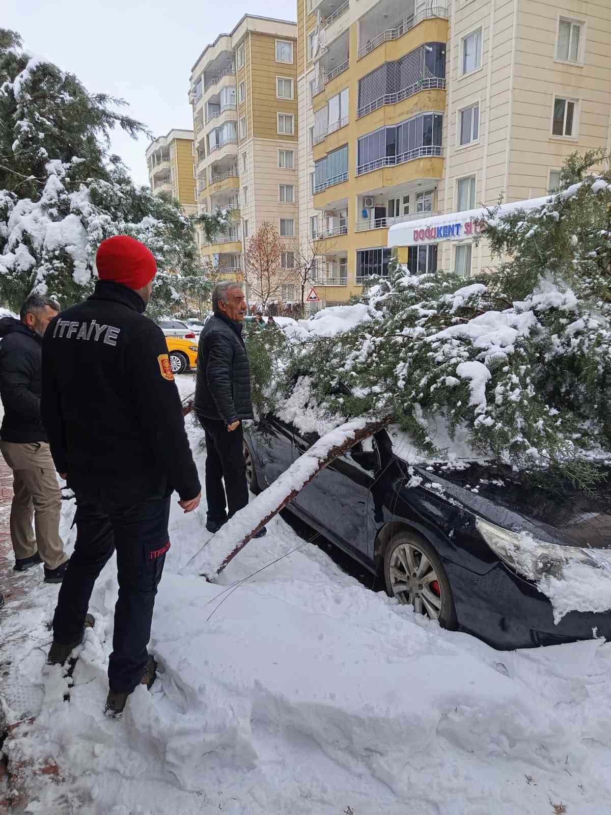 siirtte karin agirligina dayanamayan cam agaci otomobilin uzerine devrildi 2 ZJvDFHJT