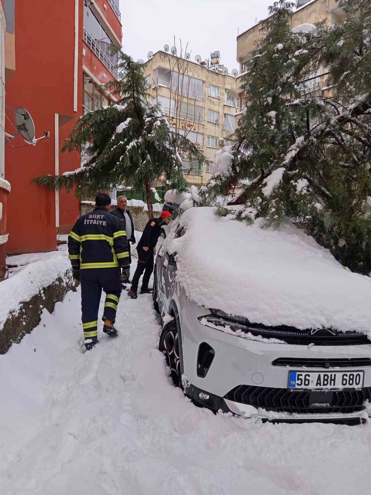 siirtte karin agirligina dayanamayan cam agaci otomobilin uzerine devrildi 3 sNvnQ3DN