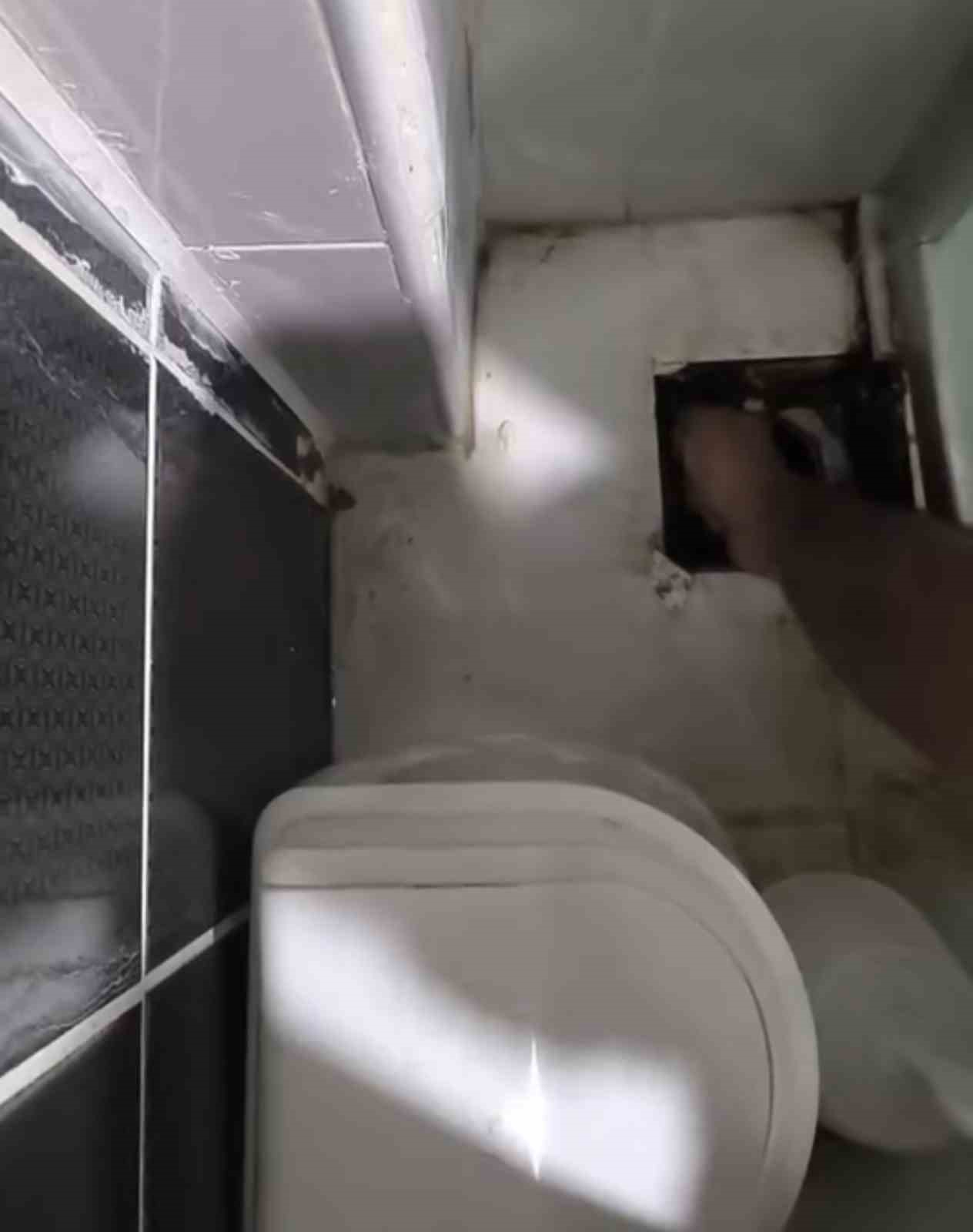 Siirt’te lavabo gider borusuna sıkışan 2 yavru kedi itfaiye ekiplerince kurtarıldı 5 siirtte lavabo gider borusuna sikisan 2 yavru kedi itfaiye ekiplerince kurtarildi 1