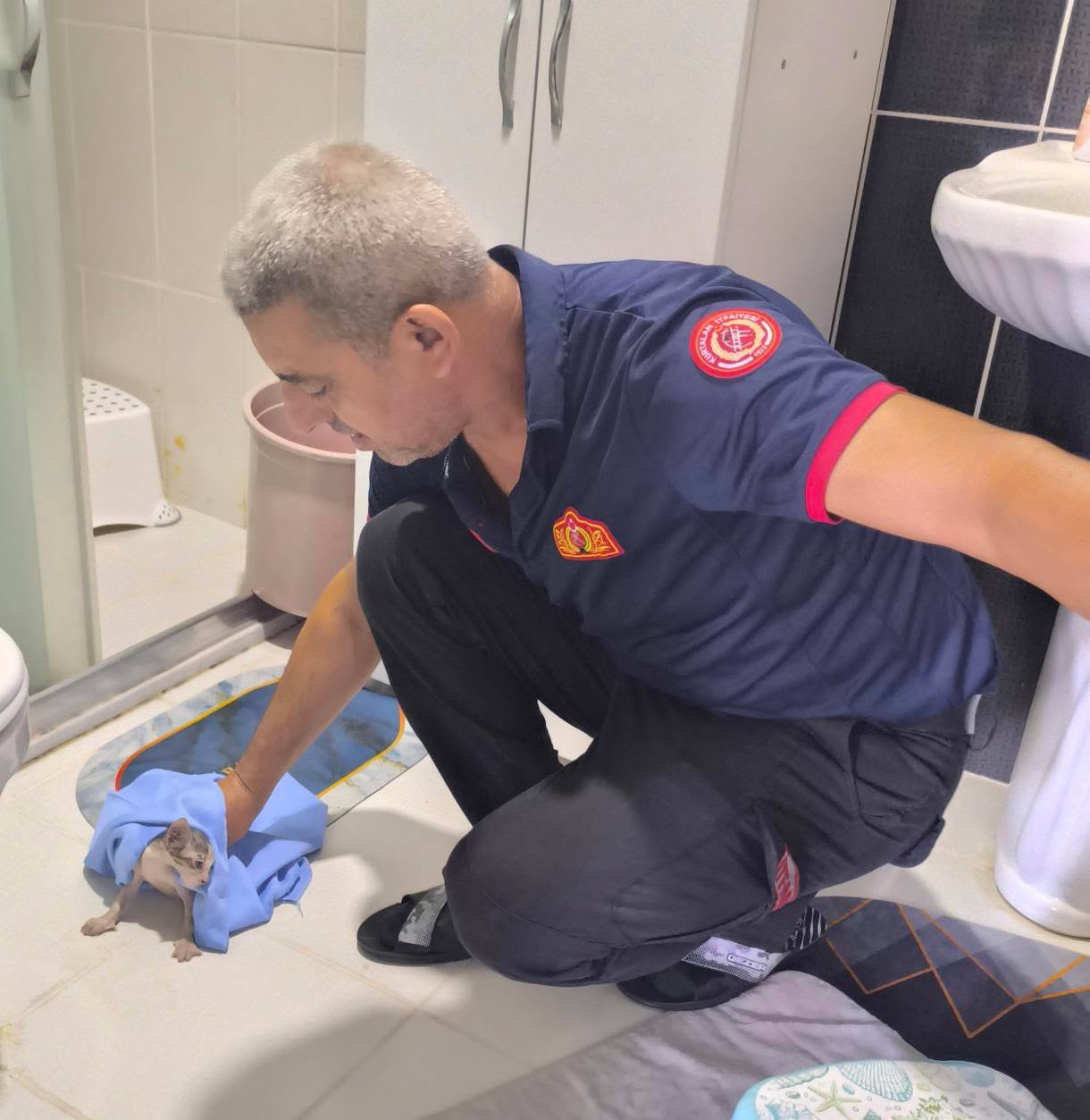 Siirt’te lavabo gider borusuna sıkışan 2 yavru kedi itfaiye ekiplerince kurtarıldı 6 siirtte lavabo gider borusuna sikisan 2 yavru kedi itfaiye ekiplerince kurtarildi 2 n8w1i4Eu