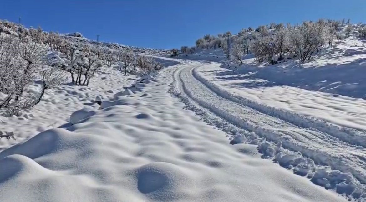 siirtte okullar yarim gun tatil edildi 1