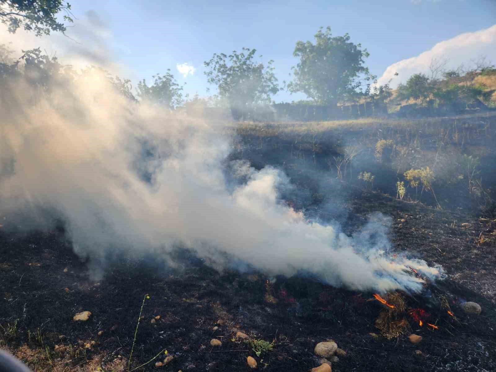 Siirt’te otluk alanda çıkan yangın fıstık ve üzüm bağlarına sıçradı 6 siirtte otluk alanda cikan yangin fistik ve uzum baglarina sicradi 2 NWuHHwh7