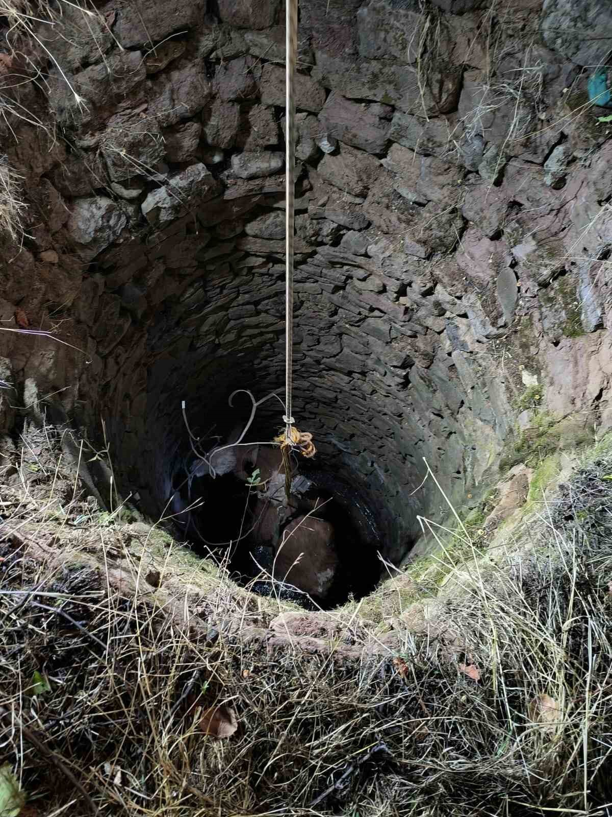 Siirt’te su kuyusuna düşen ineği ekipler kurtardı 5 siirtte su kuyusuna dusen inegi ekipler kurtardi 1 7LicPzIh