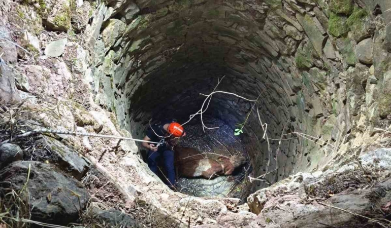 siirtte-su-kuyusuna-dusen-inegi-ekipler-kurtardi-2UbicvLf.jpg