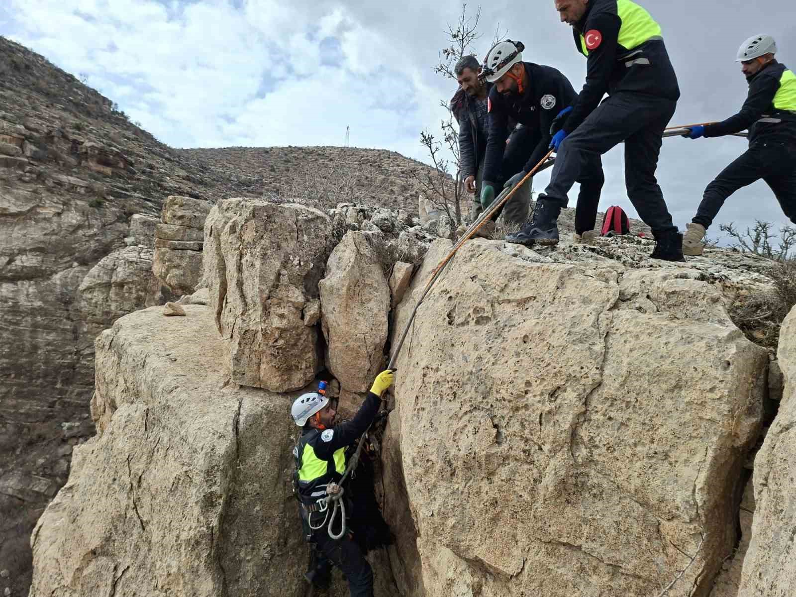 siirtte uc gundur mahsur kalan keci dagcilar tarafindan kurtarildi 1 zQQae3rA
