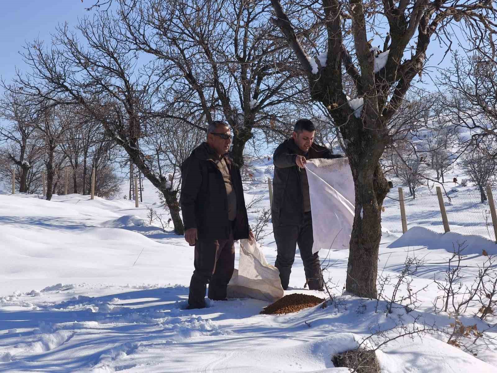 siirtte yaban hayvanlari icin dogaya yem birakildi 1 7OUFJMGs