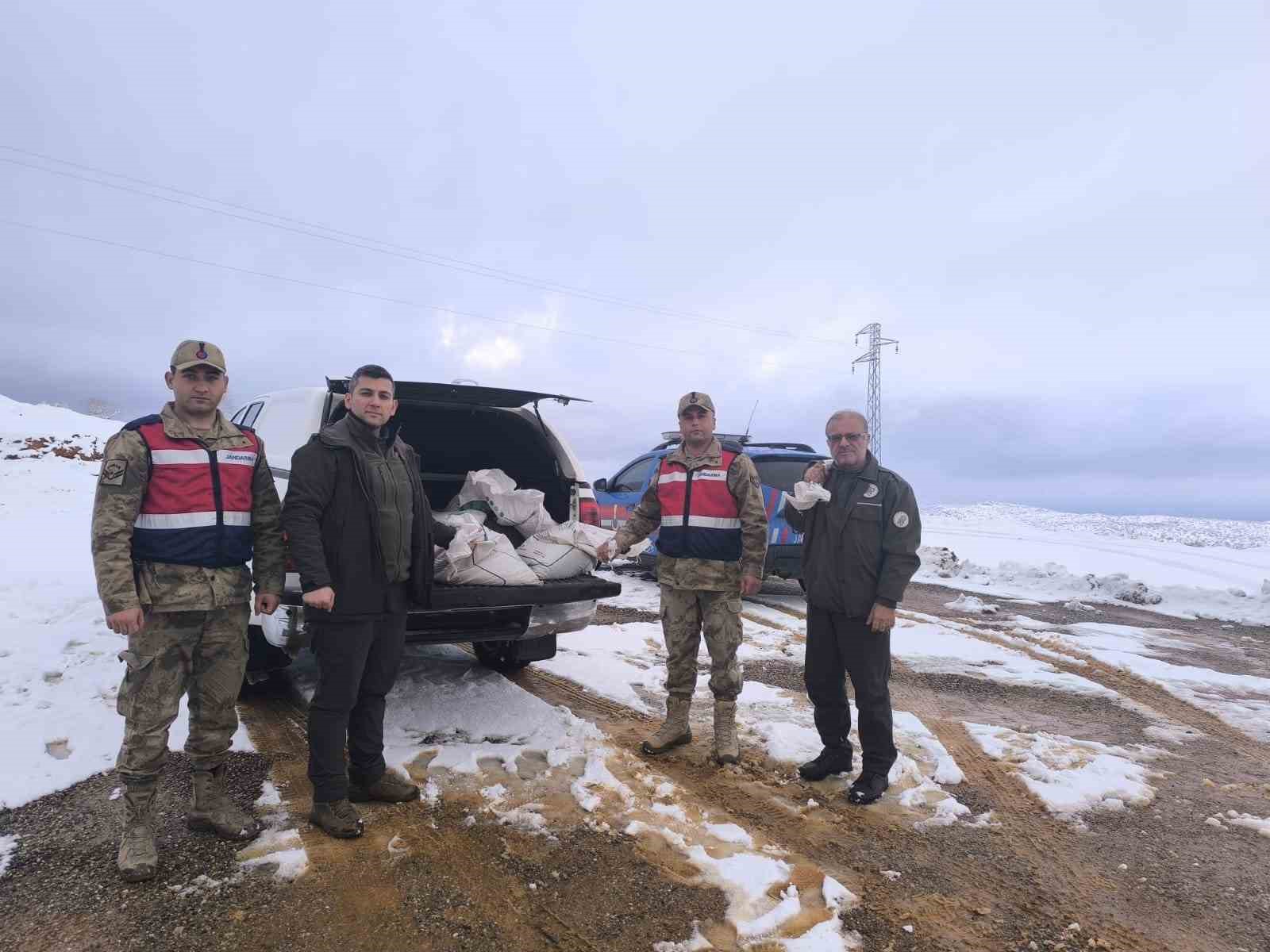 siirtte yaban hayvanlarina 750 kilo besi yemi birakildi 1 F13h4ja4