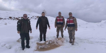 siirtte-yaban-hayvanlarina-750-kilo-besi-yemi-birakildi-mTNVrVJO.jpg