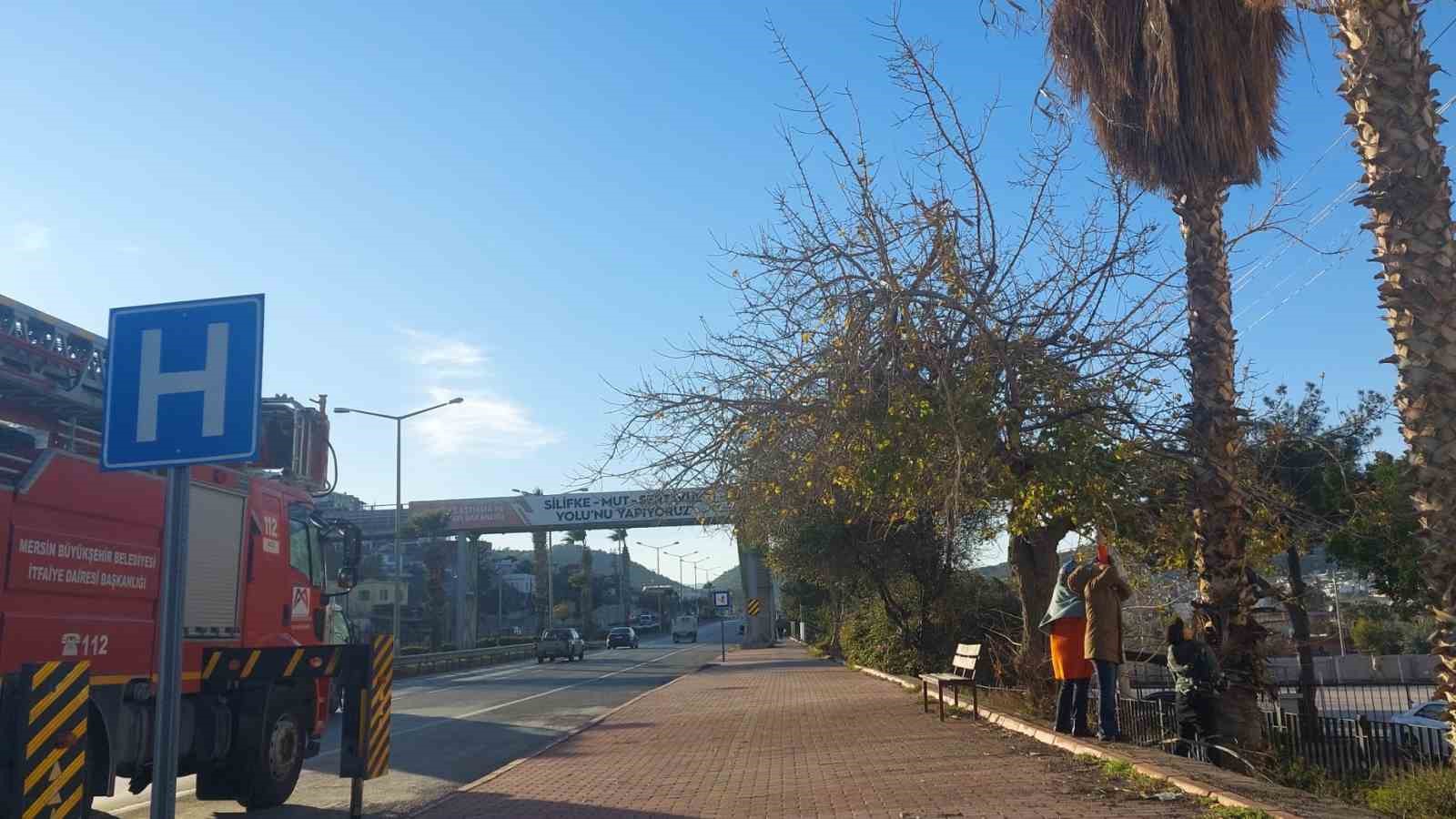 silifkede yurekleri isitan kurtarma 1 rAFTAOqq