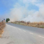 silivride-korkutan-tarla-yangini-polis-vatandaslari-uyardi-lwDZK66M.jpg