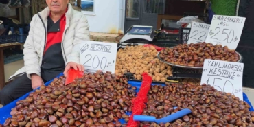 simav-kestanesi-kis-aylarinin-gozdesi-MtGQirub.jpg