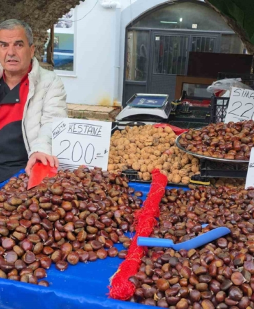 simav-kestanesi-kis-aylarinin-gozdesi-MtGQirub.jpg